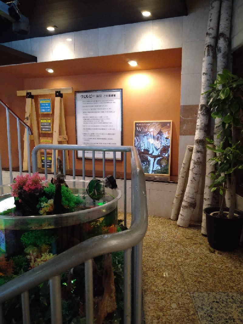 ロロピさんのウェルビー福岡のサ活写真