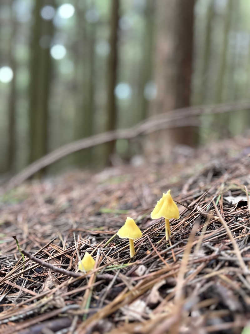 サウナ後のビール🍻さんの伊賀の国 大山田温泉 さるびののサ活写真