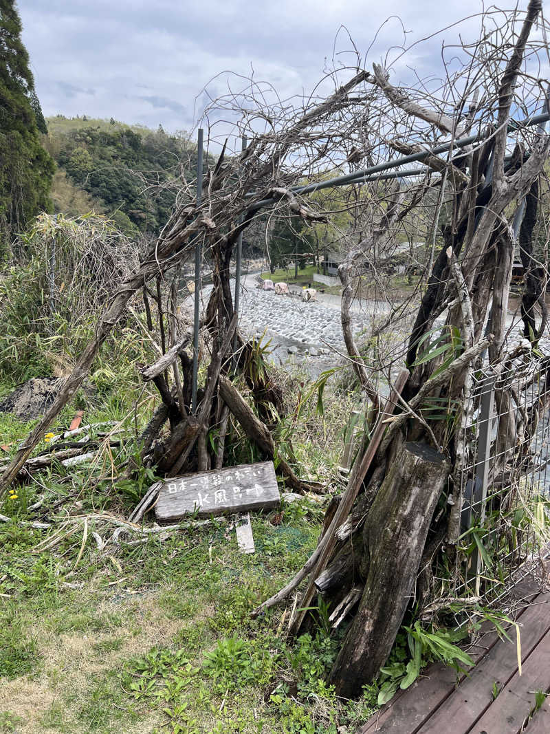 おしんさんのカフェ パラムのサ活写真