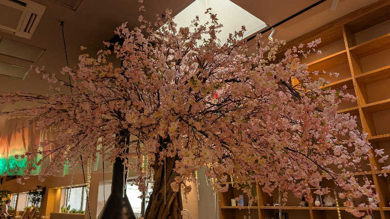 キンサクさんのおふろcafé utataneのサ活写真