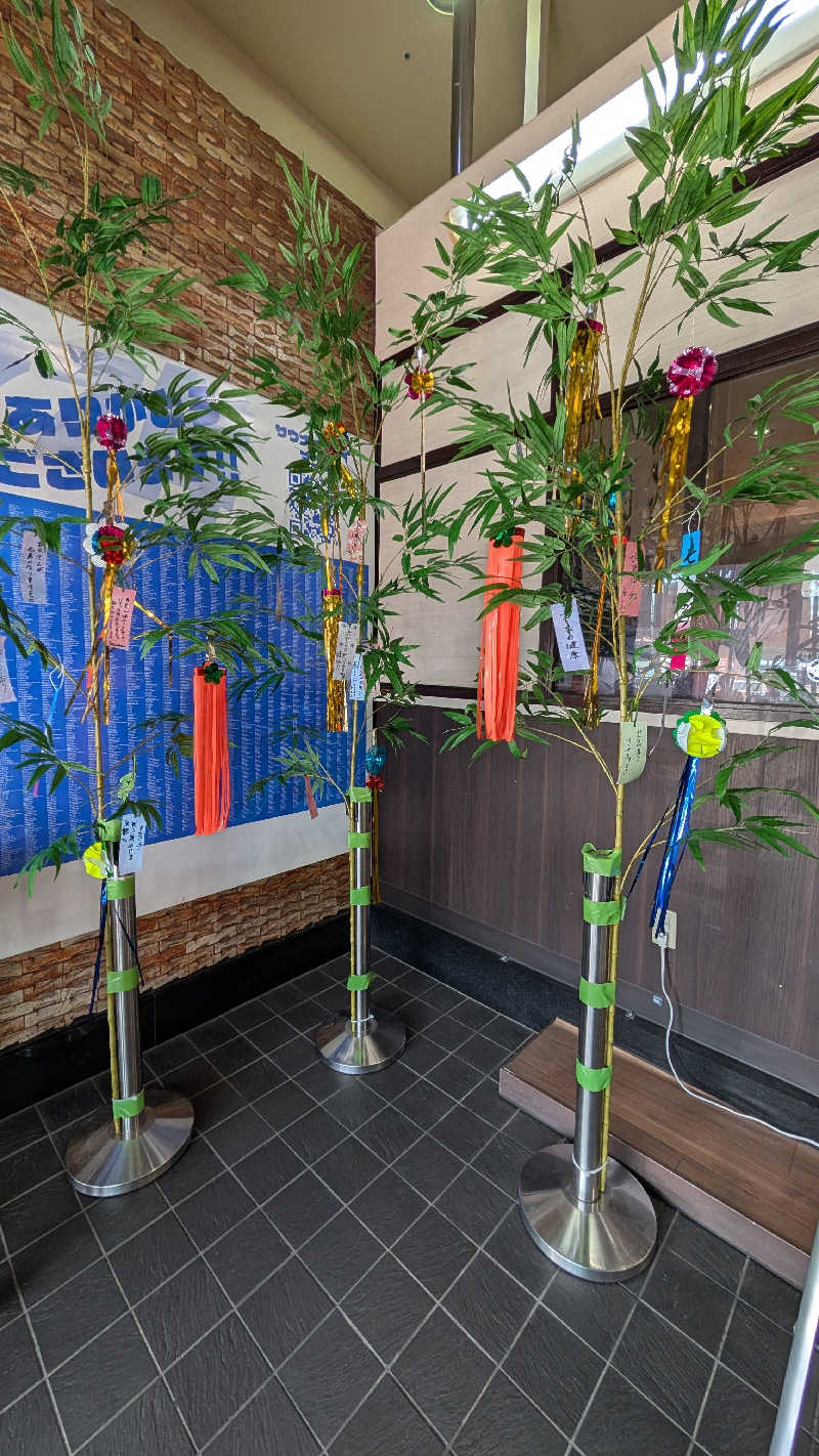 キンサクさんの湯乃泉 草加健康センターのサ活写真