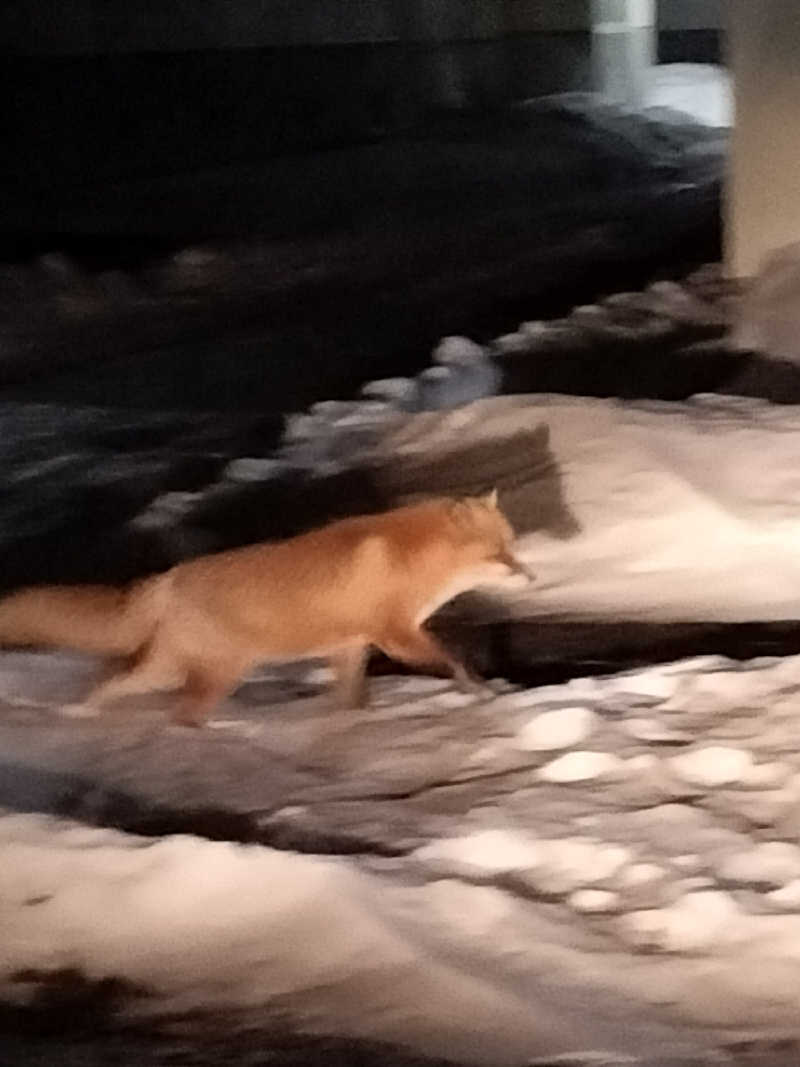 とりとるさんのひまわり温泉のサ活写真