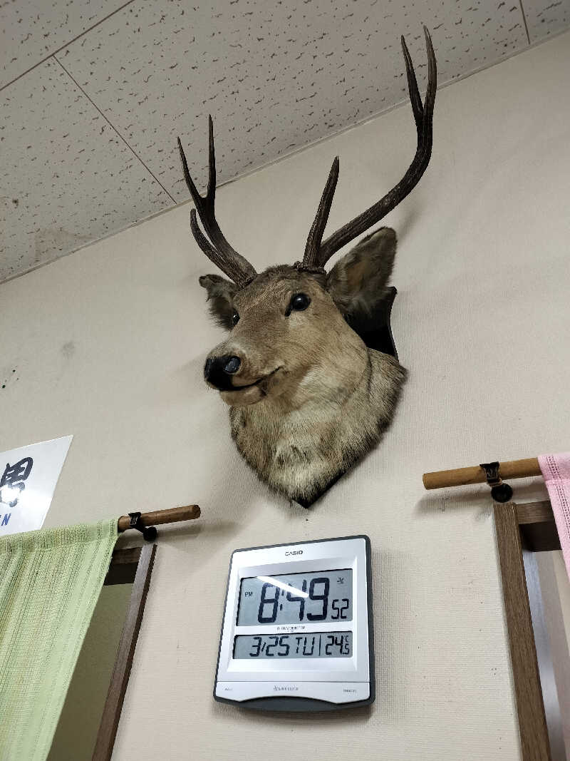 とりとるさんの大黒湯のサ活写真