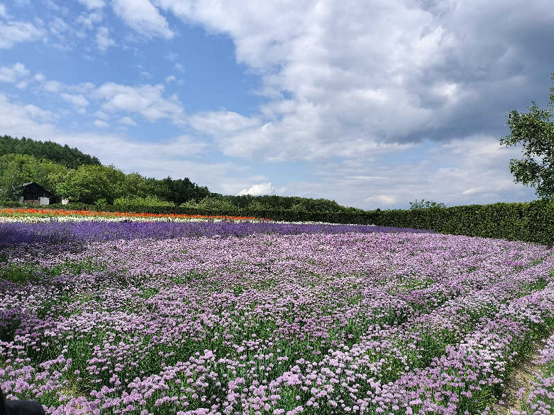 とりとるさんの吹上温泉保養センター 白銀荘のサ活写真