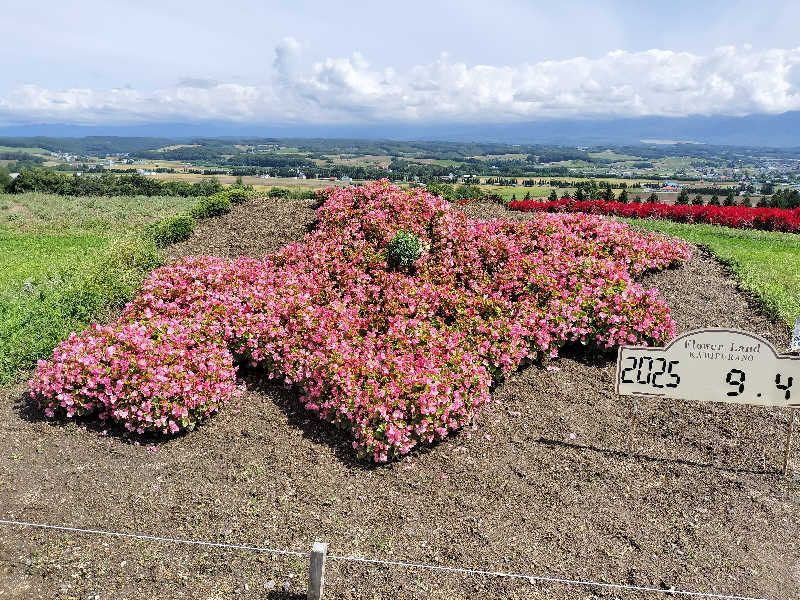とりとるさんの吹上温泉保養センター 白銀荘のサ活写真