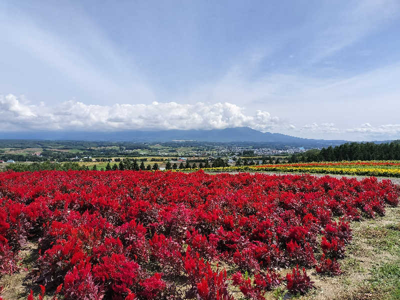 とりとるさんの吹上温泉保養センター 白銀荘のサ活写真
