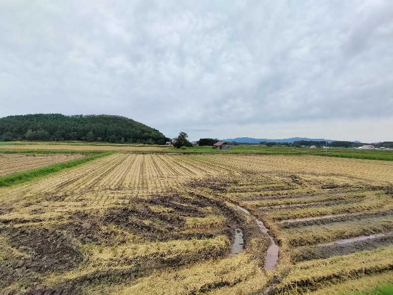 とりとるさんのKoti Private SAUNA Cottageのサ活写真