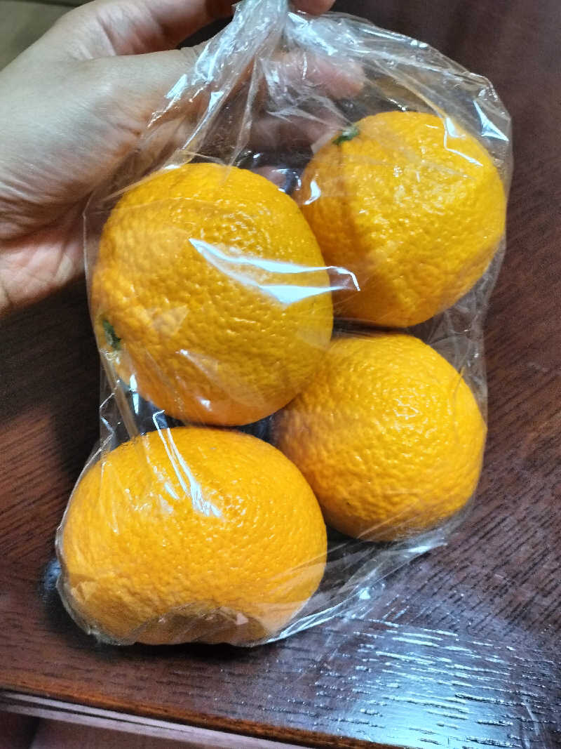 とりとるさんの佐賀の湯処 KOMOREBIのサ活写真