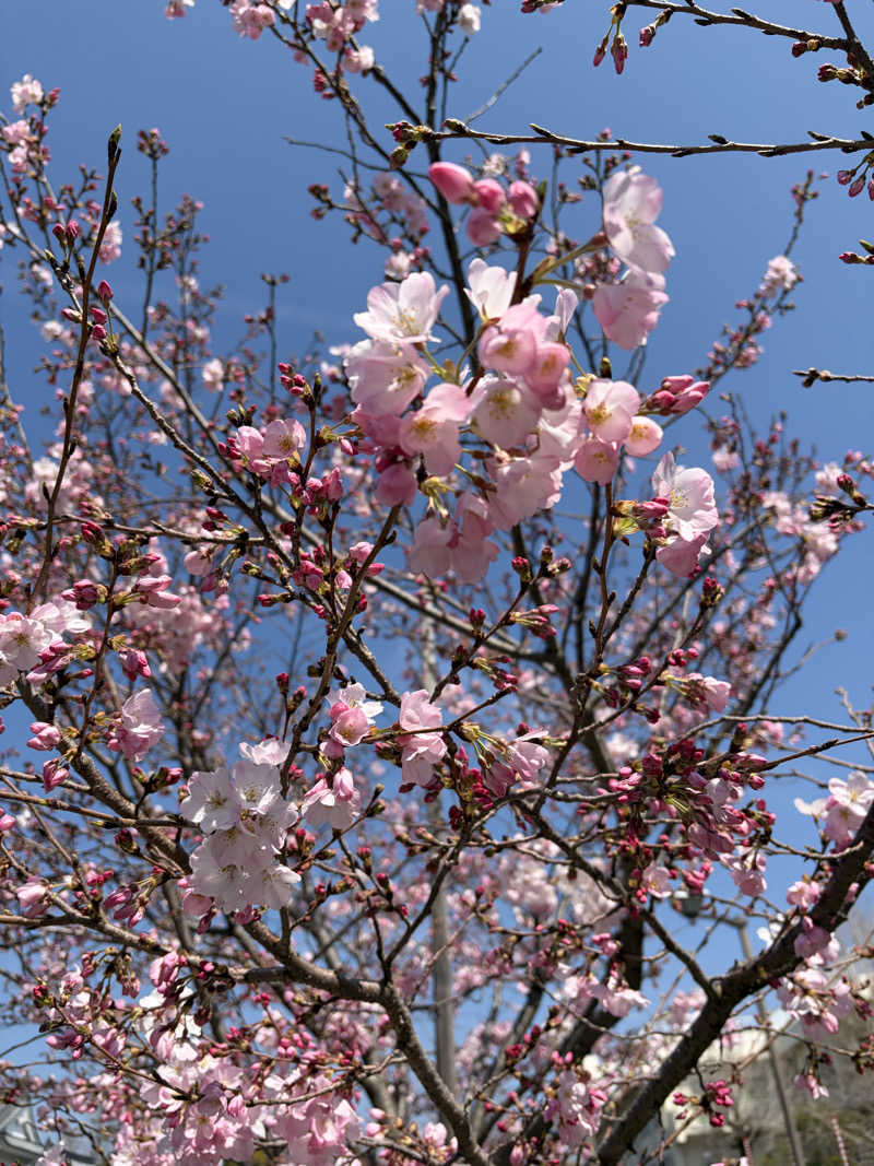 こんちゃさんのSAUNA煌ｰKOUｰのサ活写真