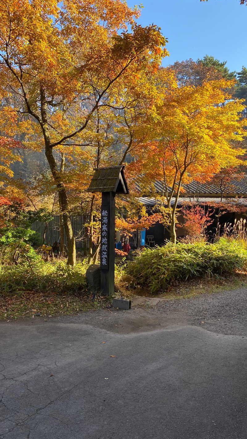 トッブっぞさんの寒の地獄旅館のサ活写真