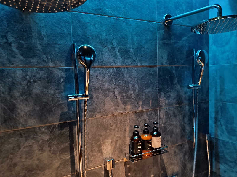 遅れてきたルーキー鹿児島nWoさんのFAV LUX 鹿児島天文館のサ活写真