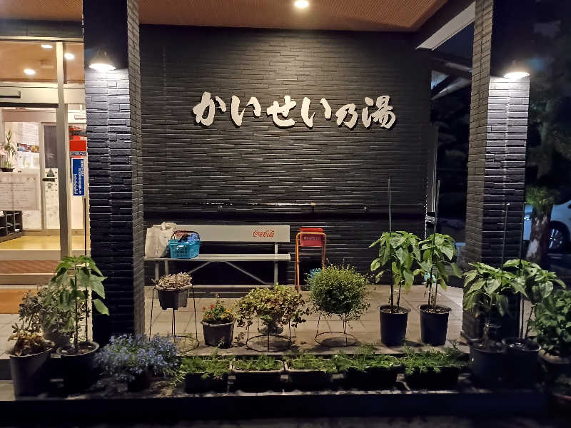 遅れてきたルーキー鹿児島nWoさんのかいせい乃湯のサ活写真