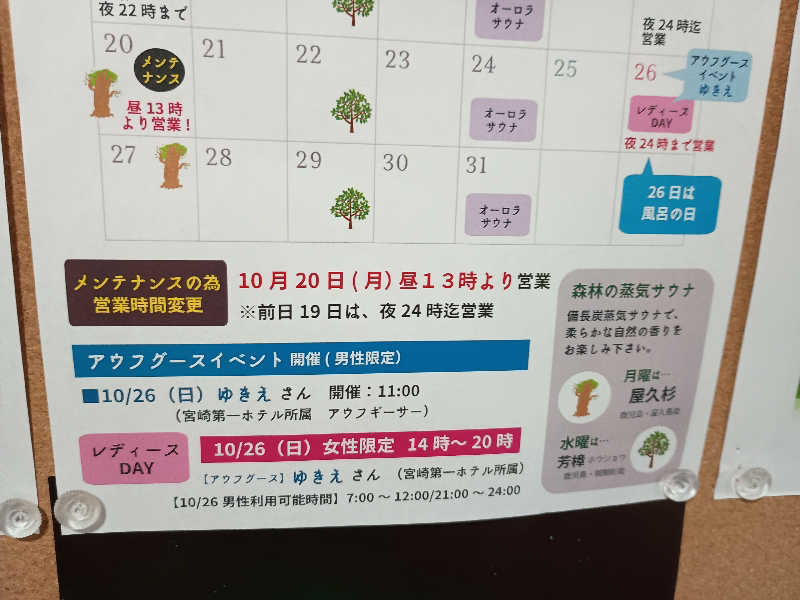 遅れてきたルーキー鹿児島nWoさんのニューニシノサウナ&天然温泉のサ活写真