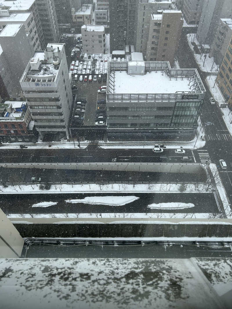 あつまレックスさんのホテルモントレエーデルホフ札幌 カルロビ･バリ･スパのサ活写真