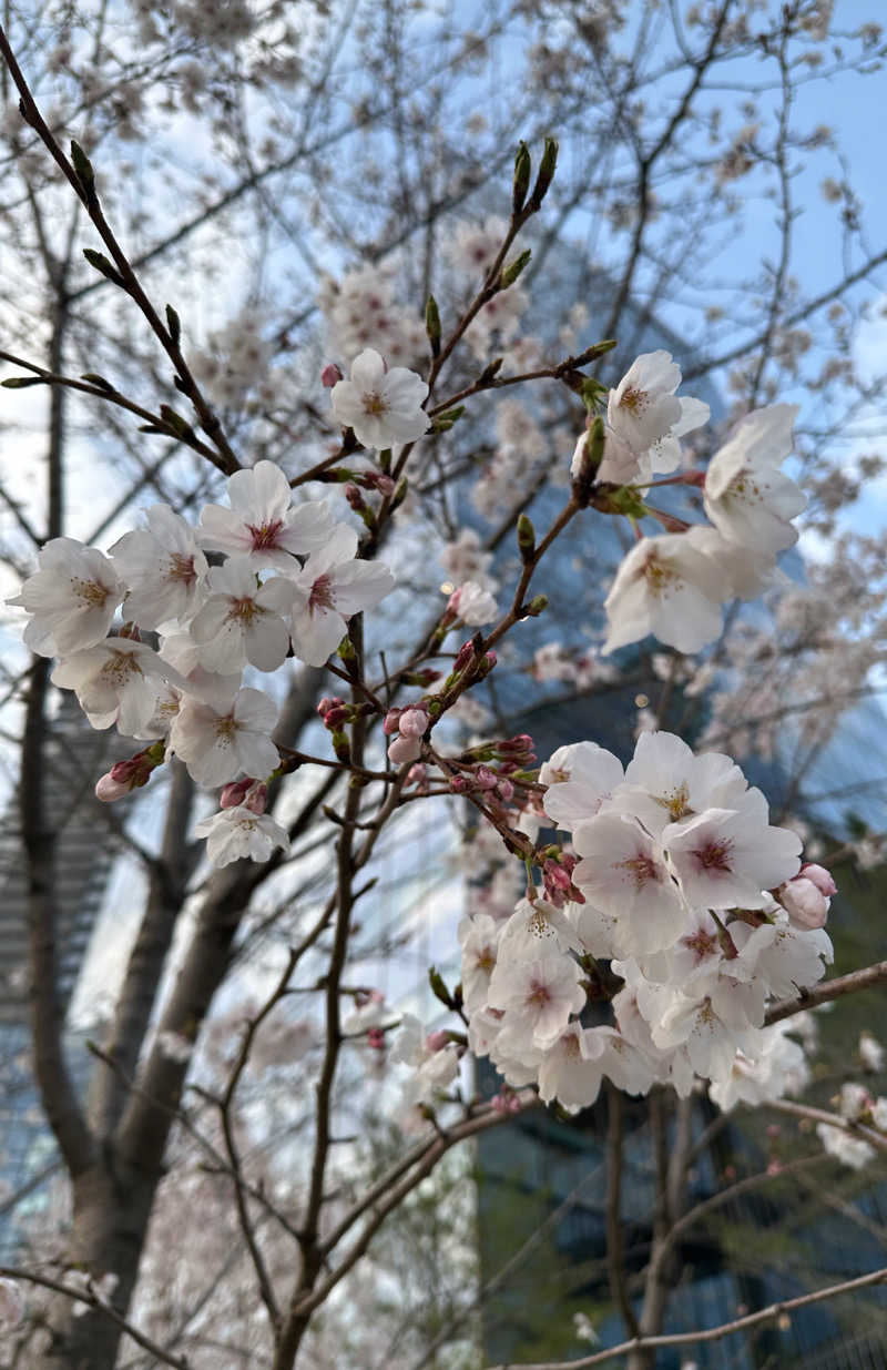 k....さんのうめきた温泉 蓮 Wellbeing Parkのサ活写真