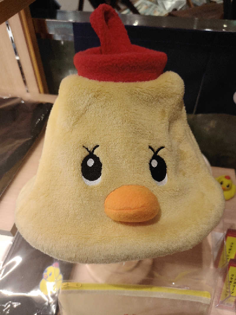 ひよこ王子さんのスパメッツァ おおたか 竜泉寺の湯のサ活写真