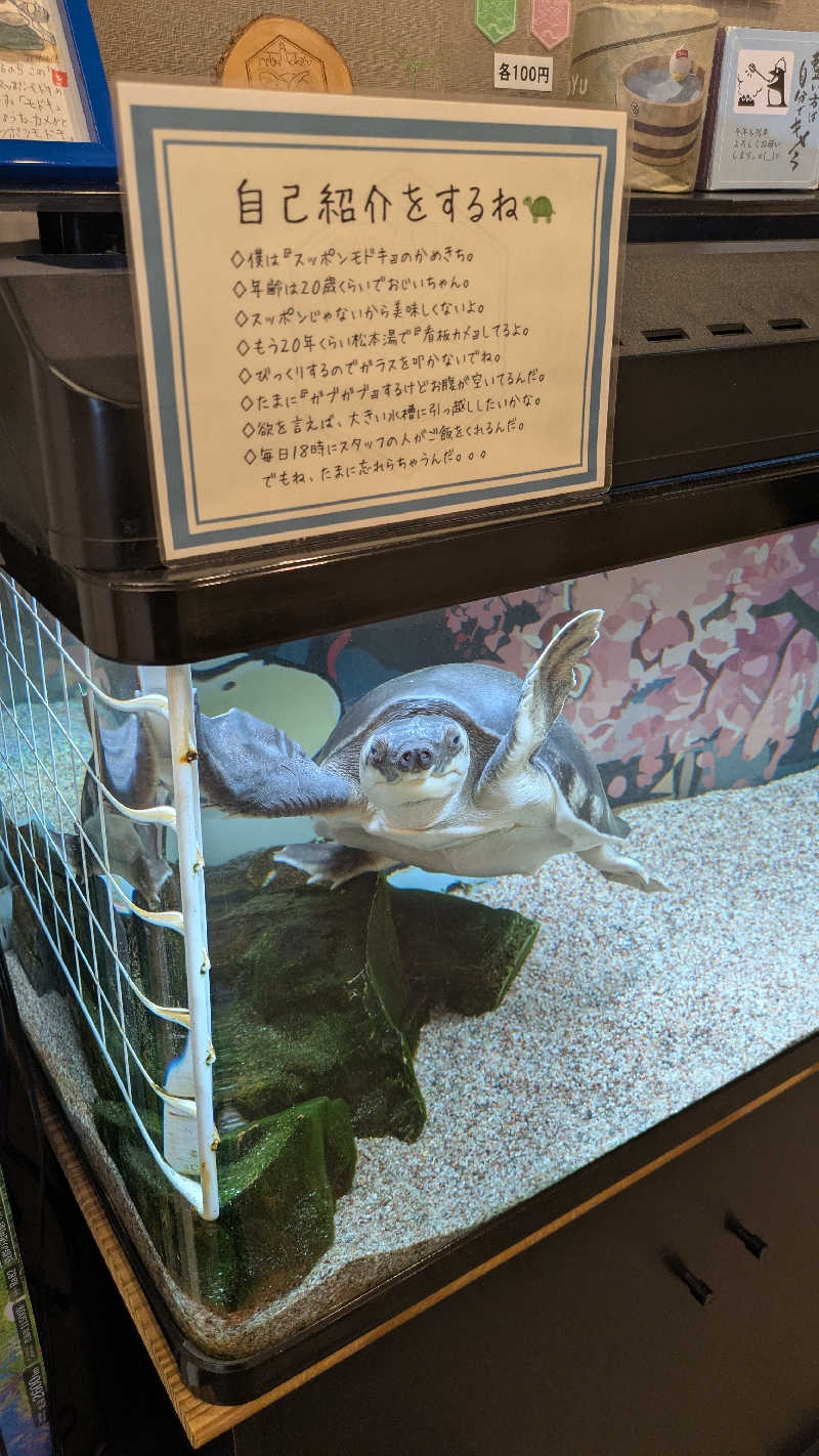 ぶんぶんさんの松本湯のサ活写真