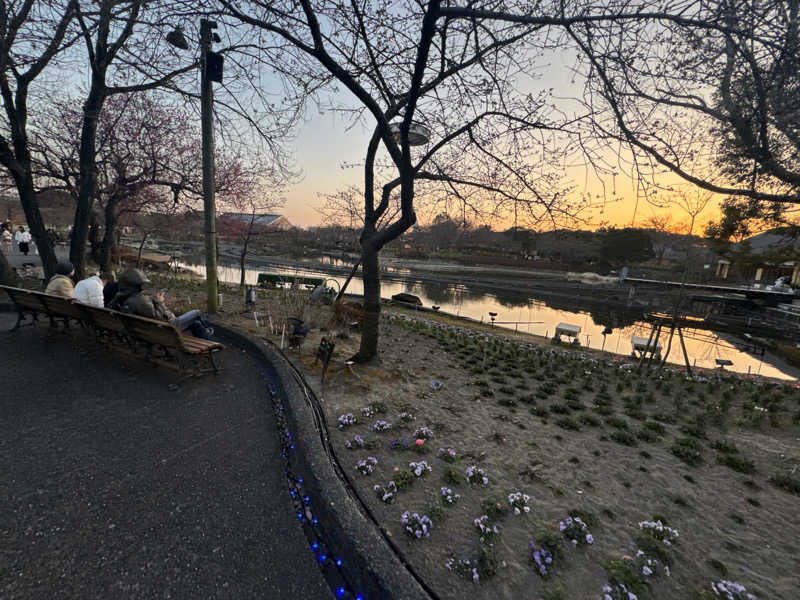 だいちゃんさんのなばなの里 里の湯のサ活写真