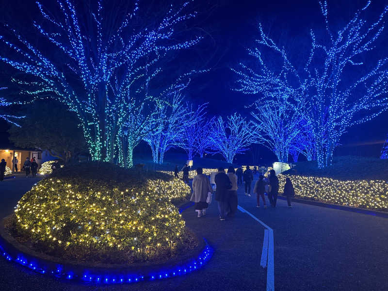 だいちゃんさんのなばなの里 里の湯のサ活写真