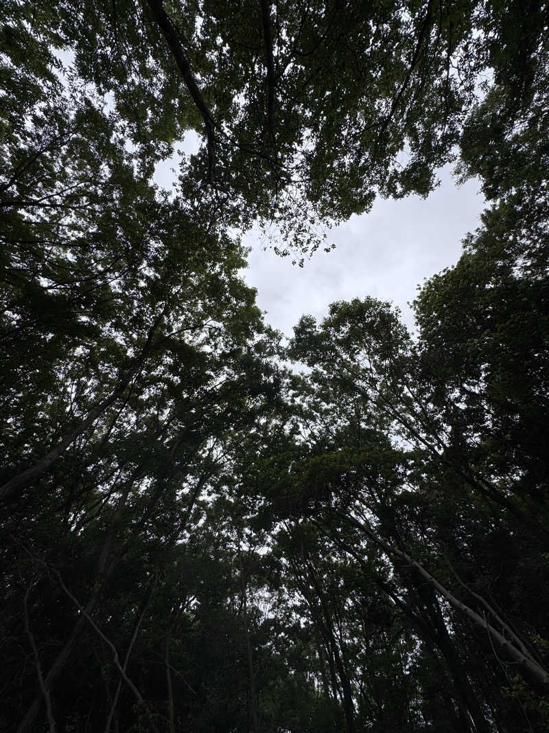 だいちゃんさんのSAUNA RESORT 天光の湯のサ活写真
