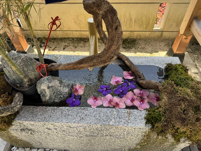 だいちゃんさんのSAUNA RESORT 天光の湯のサ活写真