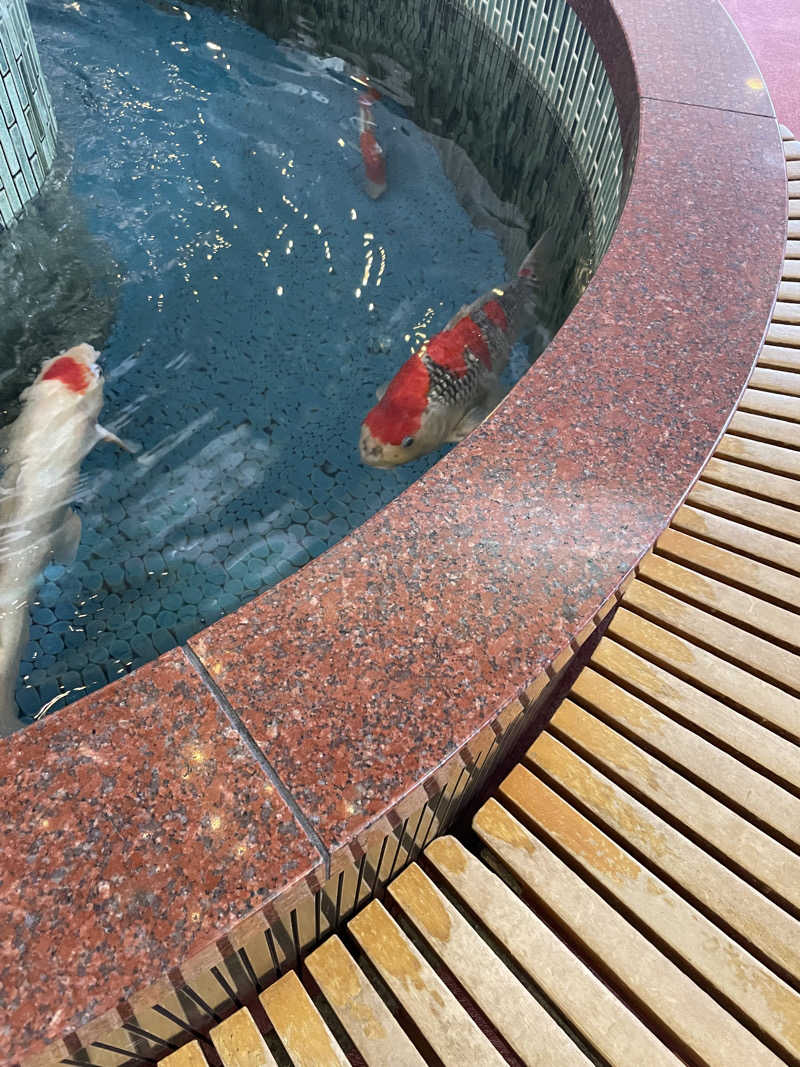 超サウナ人さんの夢の公衆浴場 五色のサ活写真