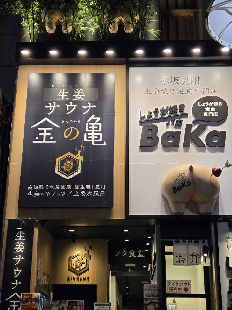 Nirvanaさんの生姜サウナ「金の亀」のサ活写真