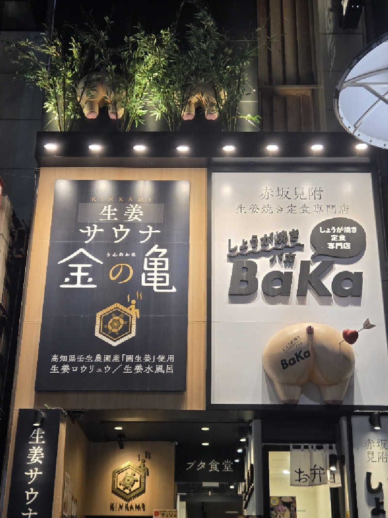 Nirvanaさんの生姜サウナ「金の亀」のサ活写真