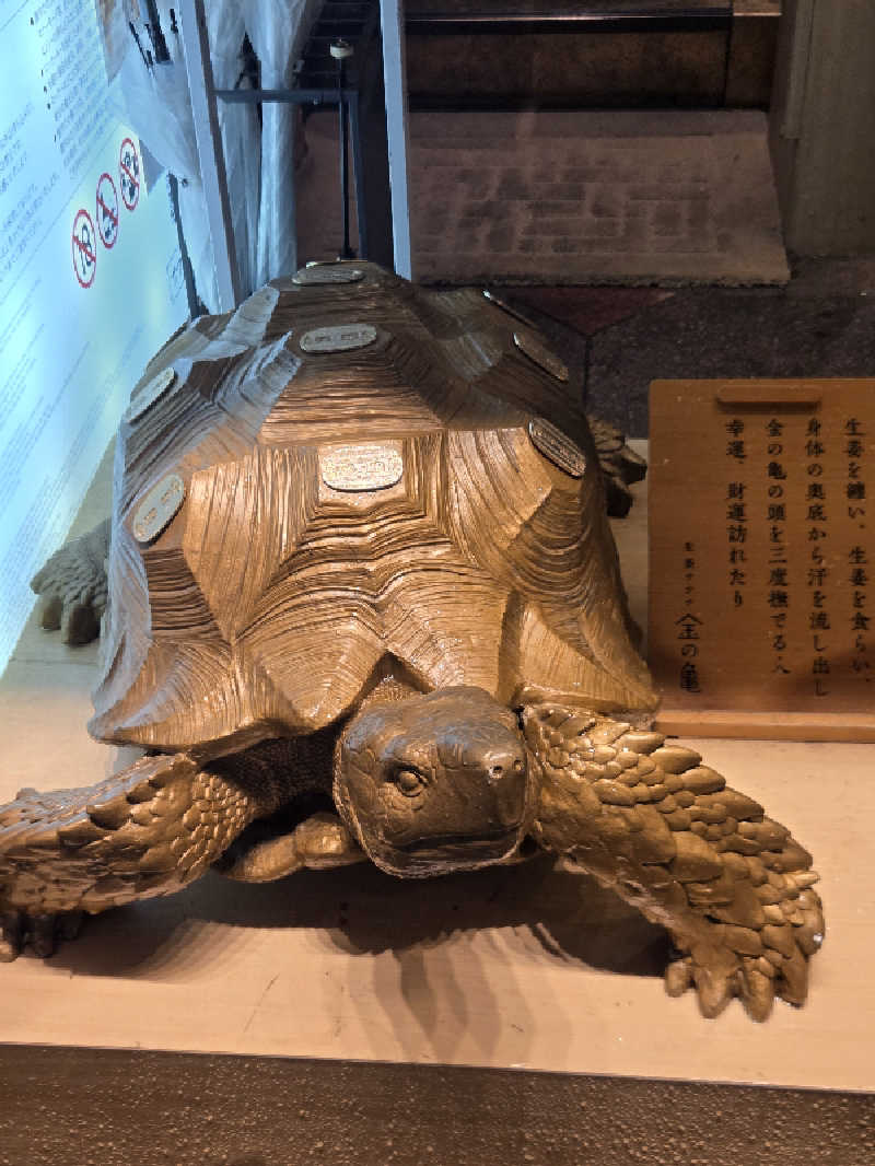 Nirvanaさんの生姜サウナ 金の亀のサ活写真