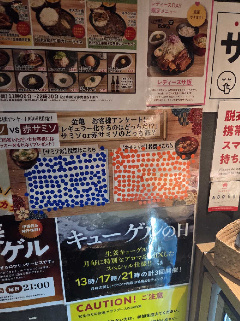 Nirvanaさんの生姜サウナ 金の亀のサ活写真