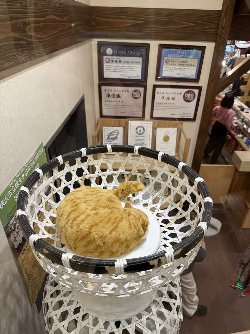 星灯さんの天然温泉 満天の湯のサ活写真