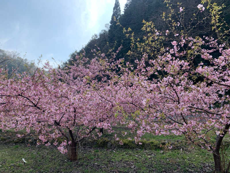 はらしおさんの湯谷温泉 弥山荘のサ活写真