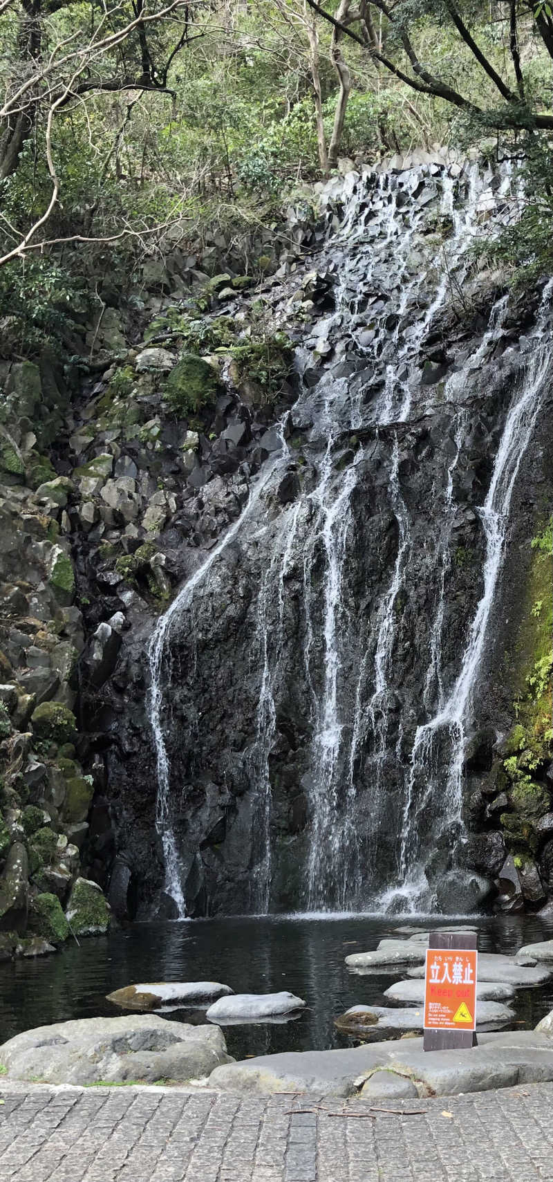 たまさんの箱根湯本温泉 天成園のサ活写真
