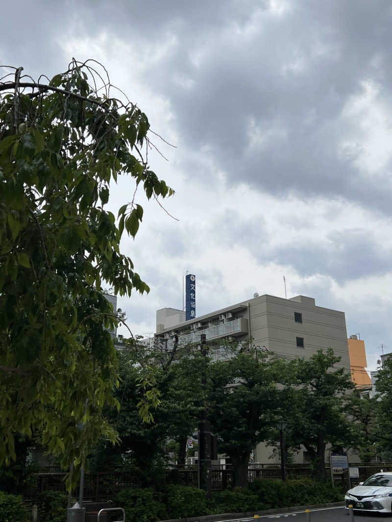 安井遼太朗さんの文化浴泉のサ活写真