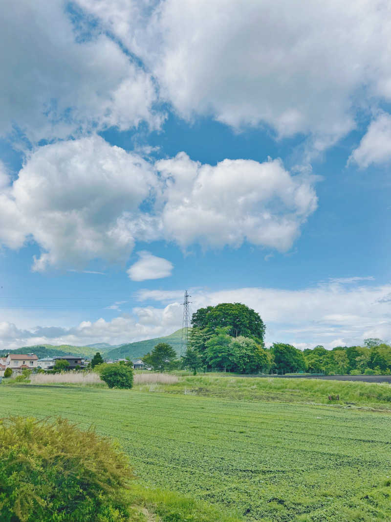 安井遼太朗さんの軽井沢サウナKASA(ペンションラブラドール)のサ活写真