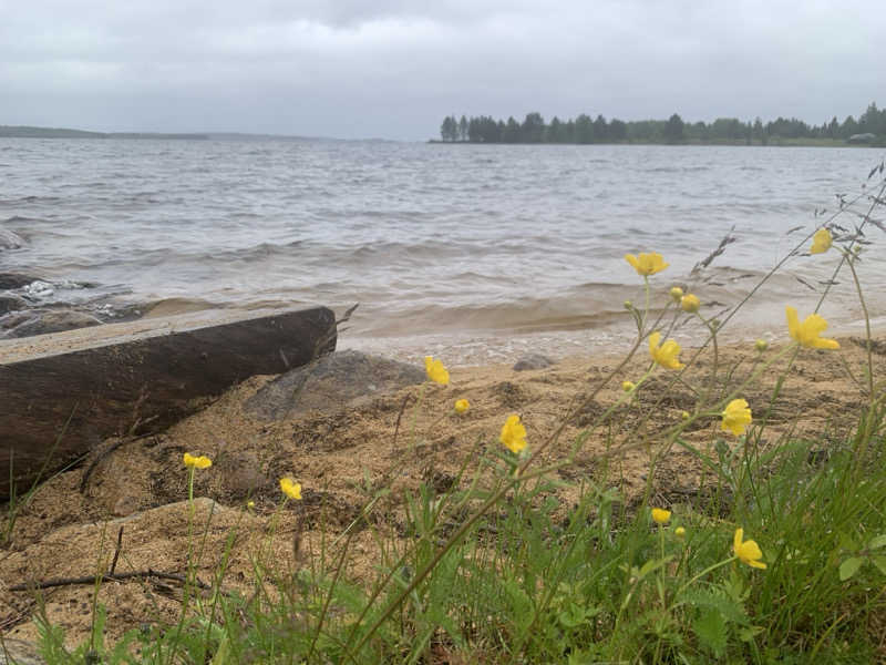 レイリーさんのWilderness Hotel Inari ワイルダーネス ホテル イナリのサ活写真