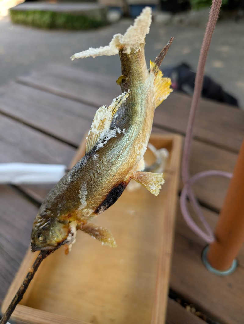 くりりんさんのやまと温泉 やすらぎ館 ことといの湯のサ活写真