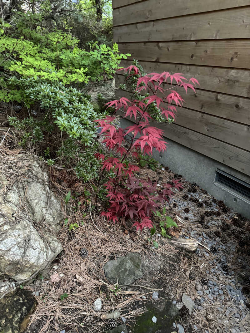 Emi SasayamaさんのMoruran Saunaのサ活写真