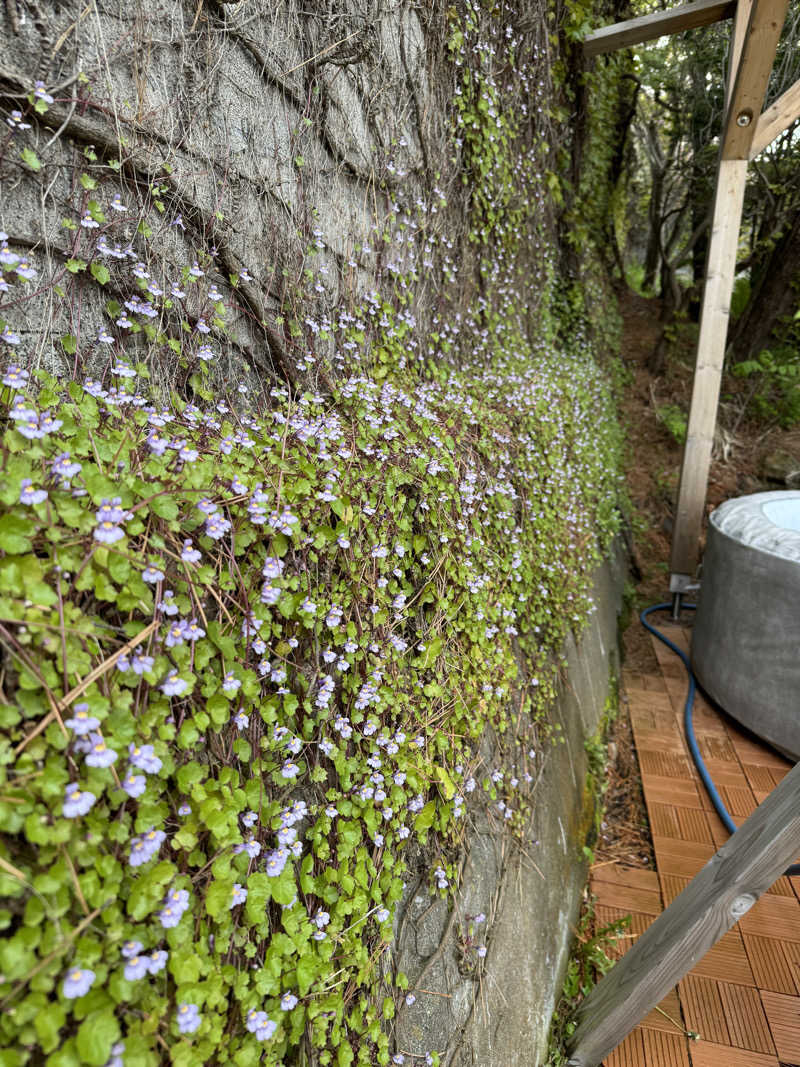 Emi SasayamaさんのMoruran Saunaのサ活写真