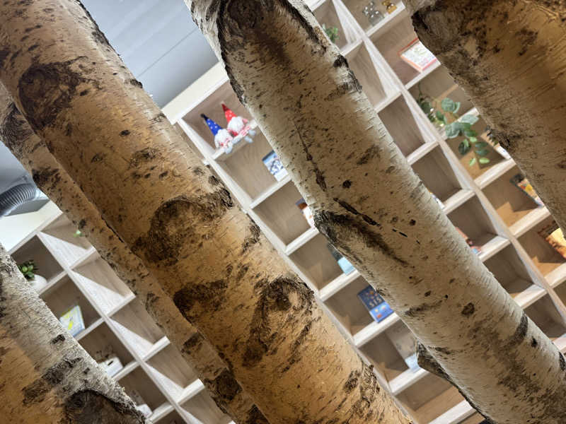 Emi Sasayamaさんのサウナコタンサッポロのサ活写真