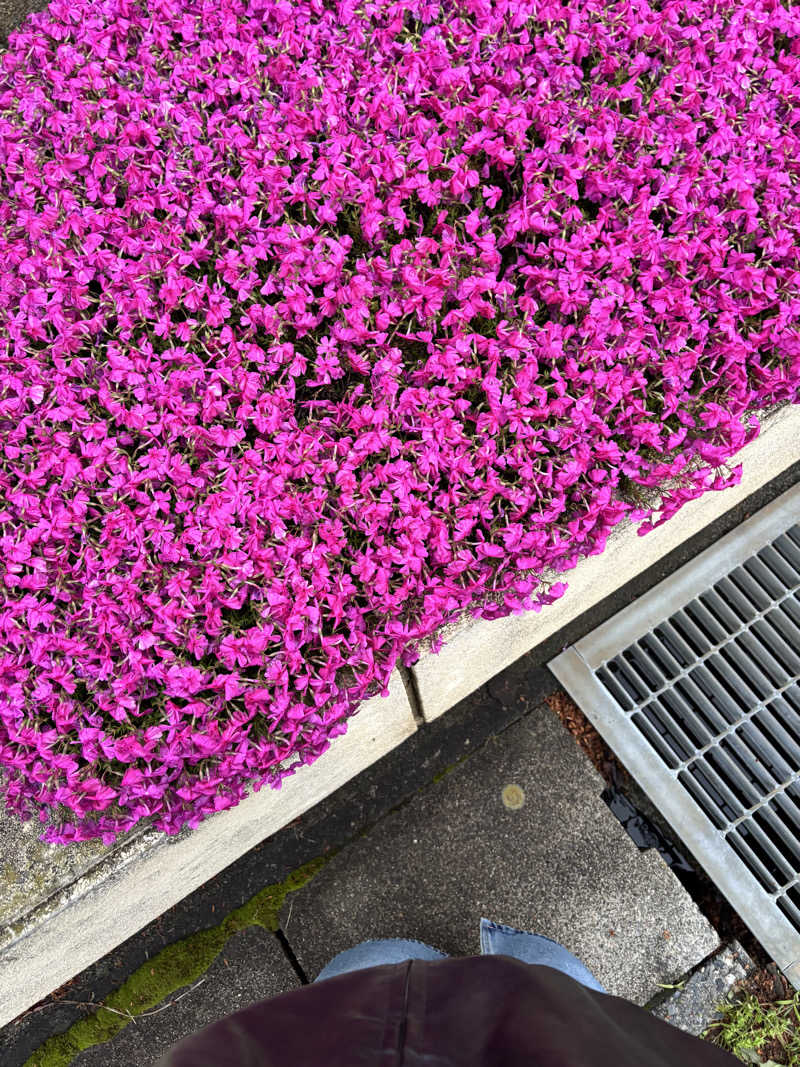 ヒナコさんの美肌の湯 ロマネットのサ活写真