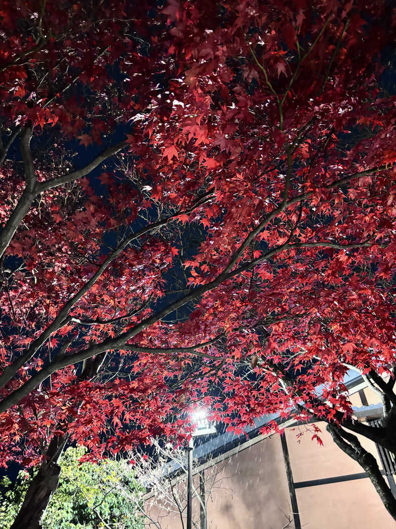 ヒナコさんの林檎の湯屋 おぶ～のサ活写真