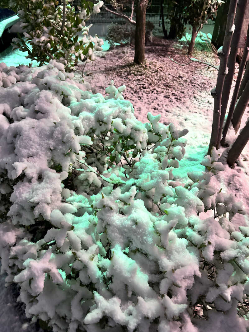 ヒナコさんの川中島温泉テルメDOMEのサ活写真