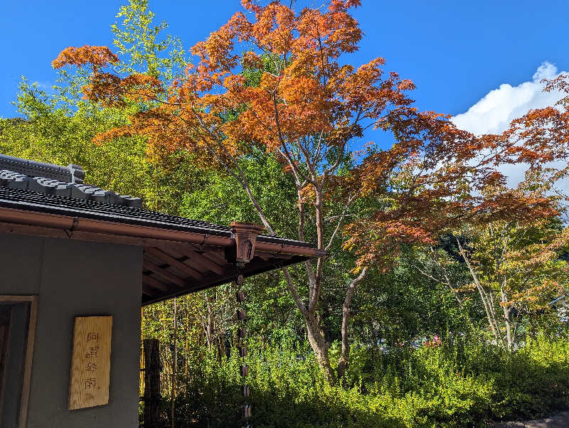 YONASHIさんの湯山荘 阿讃琴南のサ活写真