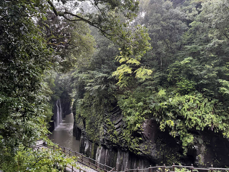 ツユマメさんの国民宿舎 ホテル高千穂のサ活写真