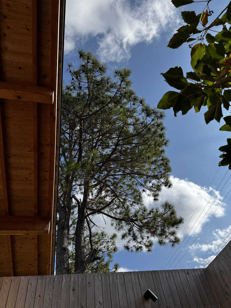 ツユマメさんの湯や 晴ル音のサ活写真