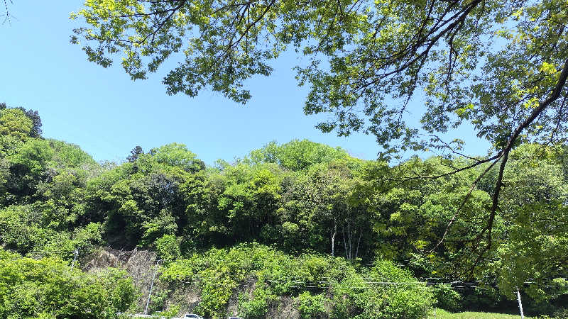 おじサウナ〜さんのSauna Base SHIFUKU | 至福の川と薪サウナのサ活写真
