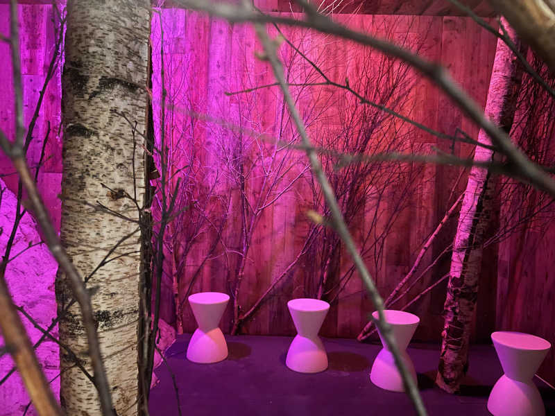 やまさんのウェルビー栄のサ活写真