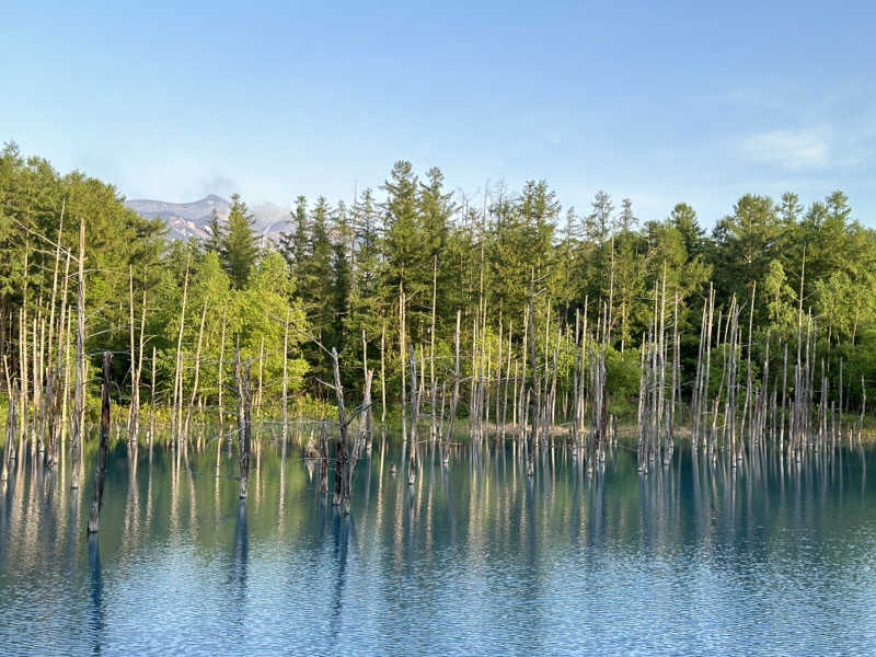 yh.kz.さんの吹上温泉保養センター 白銀荘のサ活写真