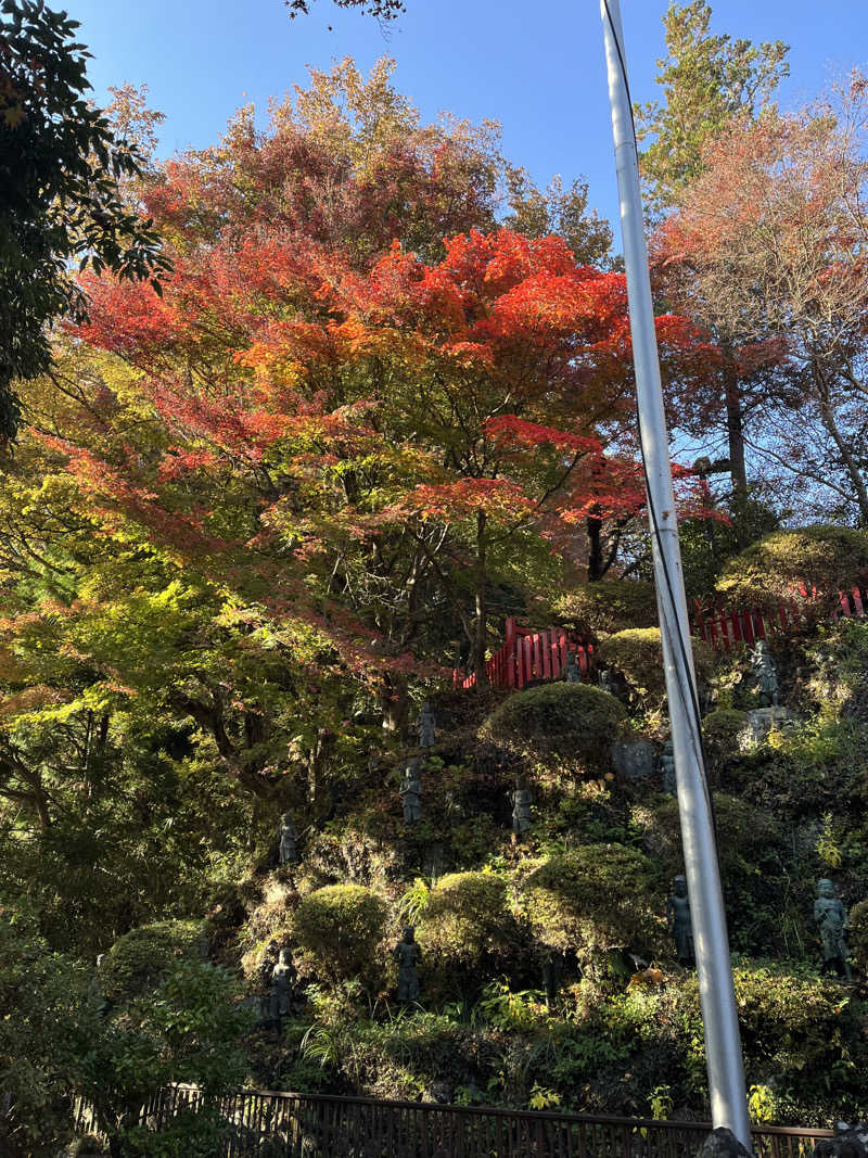 ソントクさんの毎日サウナ 八王子店のサ活写真